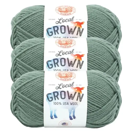 3 Pack Lion Brand&reg; Local Grown Yarn Sagebrush {1}