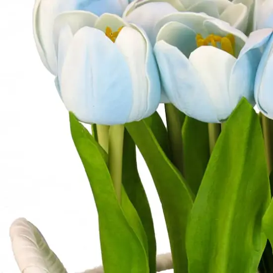 10" Tulip Bouquet in White Basket Blue {5}