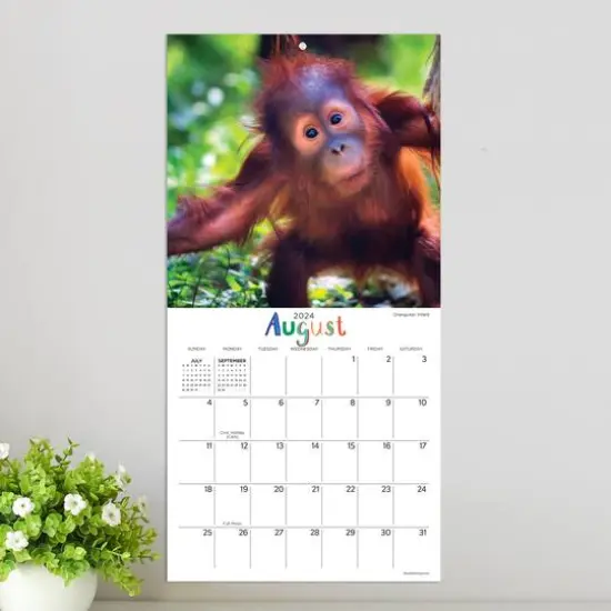 TF Publishing 2024 Baby Animals Mini Calendar {5}