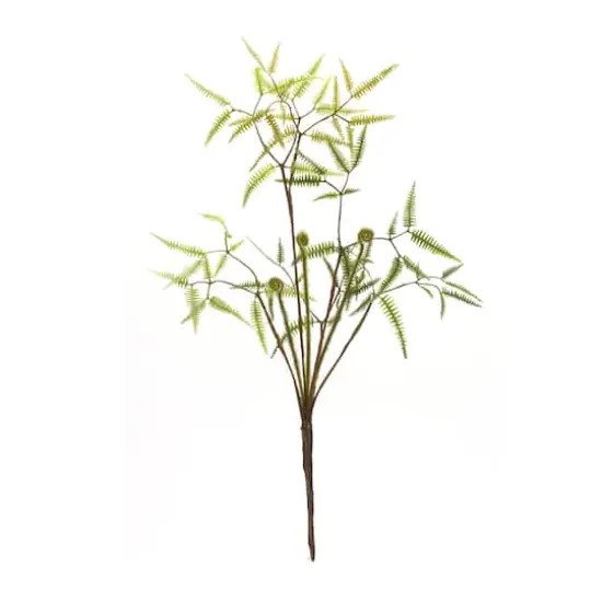 19" Mini Fern Bush, 6ct. {3}