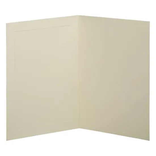 JAM Paper 3.5" x 4.875" Strathmore Ivory Wove Panel Blank Foldover Cards {3}