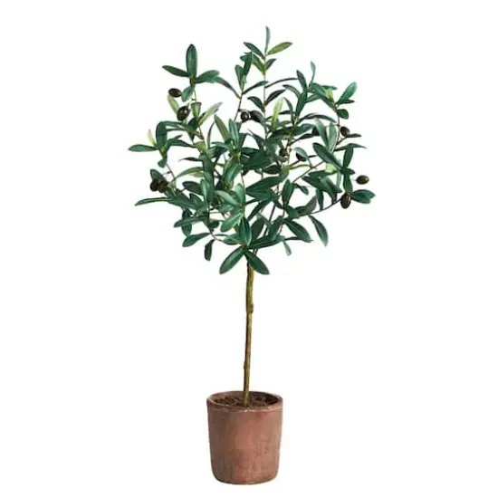 2.5ft. Olive Tree in Brown Planter {1}