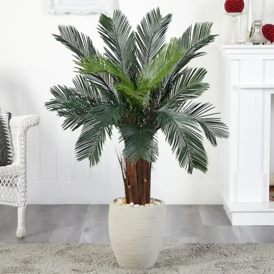 4.5ft. Cycas Tree in Oval Planter {5}