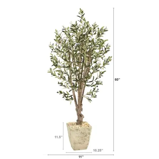 5ft. Olive Tree in Country White Planter {3}