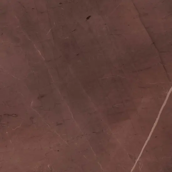 Chris Loves Julia Bonneville Peel & Stick Floor Tiles, 10ct. Oxblood {9}