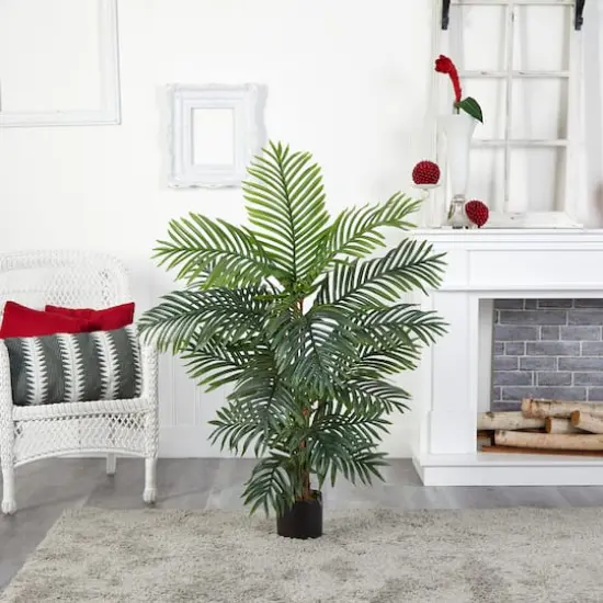 4ft. Potted Bamboo Palm Tree {4}