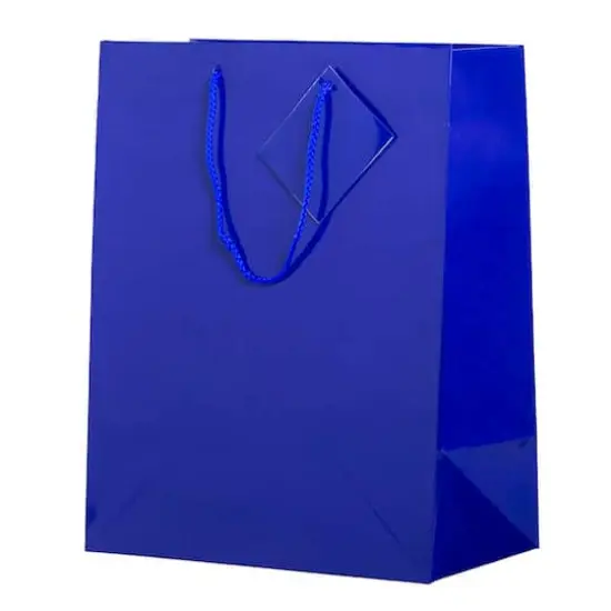 JAM Paper Large Glossy Gift Bags with Rope Handles, 3ct. Blue {5}