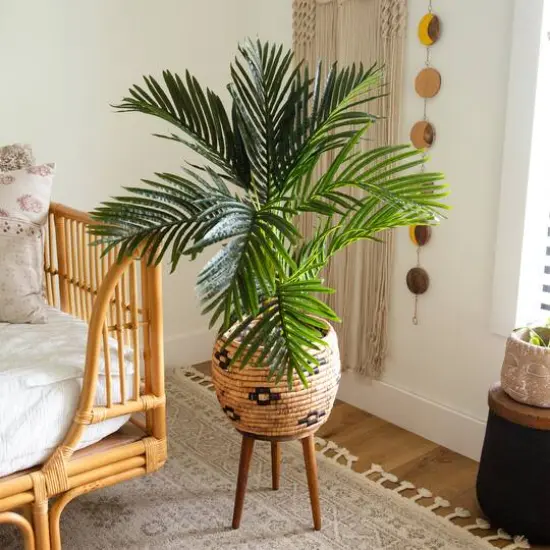 3ft. Potted Golden Cane Palm Tree {7}