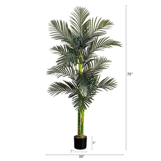 6ft. Potted Double-Stalk Golden Cane Palm Tree {5}