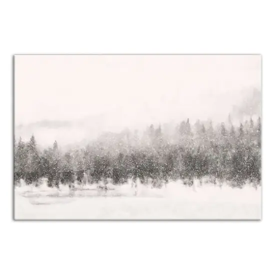 Calm Snowy Trees 36x24 Canvas Wall Art {1}