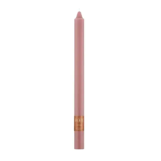 Root Candles Arista&trade; 12" Smooth Taper Candles, 12ct. Dusty Rose {4}