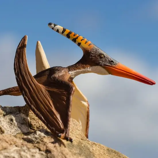 Safari Ltd&reg; Pteranodon {5}