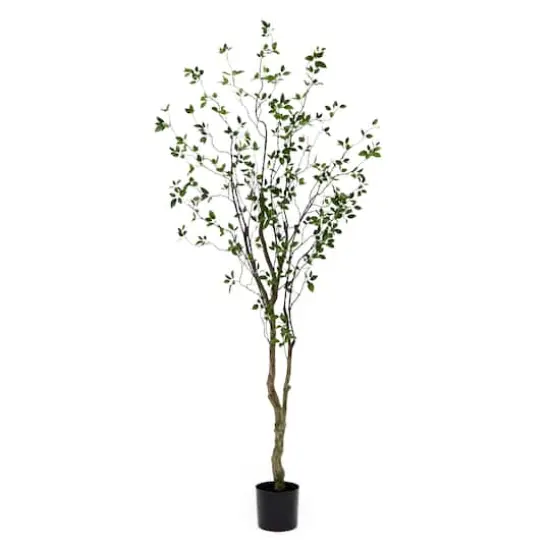 8ft. Minimalist Citrus Artificial Tree  {1}