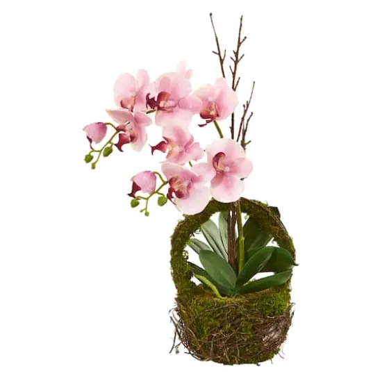 Phalaenopsis Orchid Artificial Arrangement in Twig Basket {1}