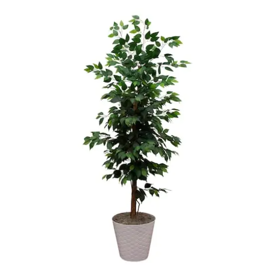 5.5ft. Artificial Ficus Double Stalk Tree in Hexagon Metal Planter {1}