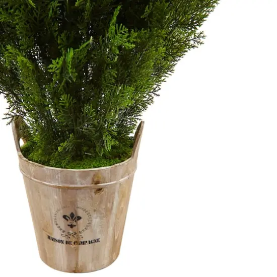 3ft. Cedar Tree in Barrel Planter {3}
