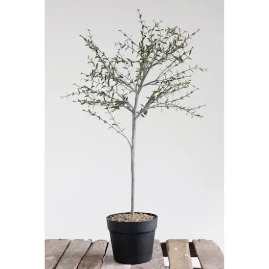 Hello Honey&reg; 29" Potted Thyme Topiary Tree {3}