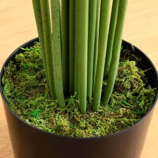 10ft. Potted Artificial Paradise Palm Tree {7}