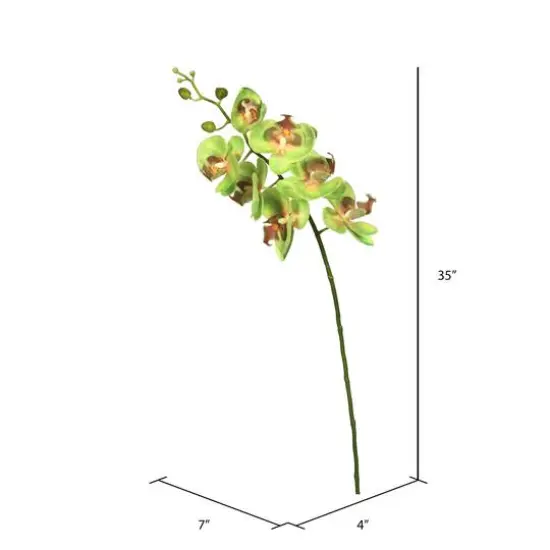 Green Real Touch Orchid Artificial Floral Stem {3}
