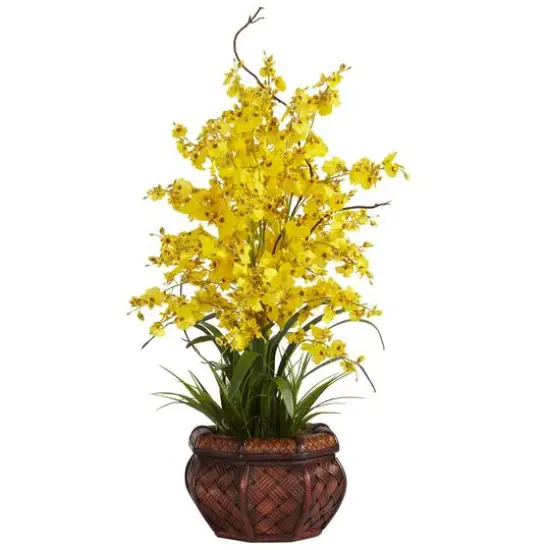 2.5ft. Yellow Dancing Lady Orchid Arrangement with Bamboo Vase {1}
