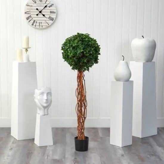 4.5ft. Potted English Ivy Ball Topiary Tree {4}