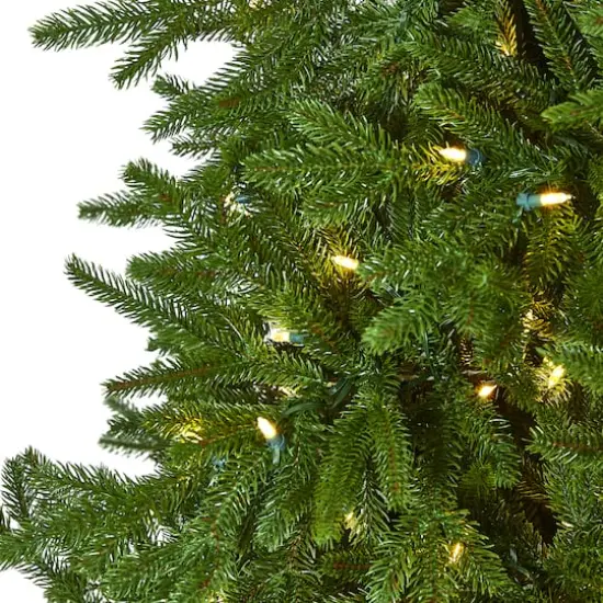 7ft. Pre-Lit Nova Scotia Fir Real Touch Artificial Christmas Tree, Warm White LED Lights {4}
