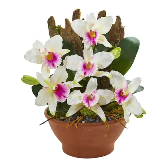 15" Cattleya Orchid Arrangement in Clay Vase White {1}