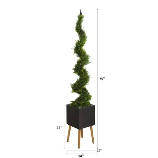 6.25ft. Cypress Spiral Tree in Black Planter with Stand {3}