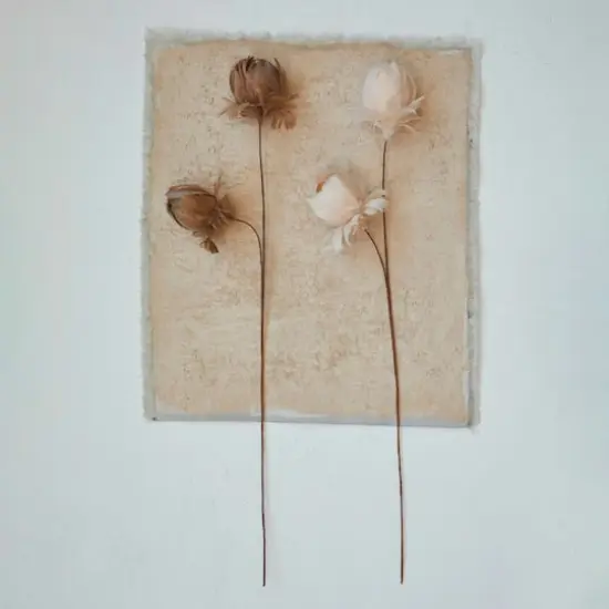 Hello Honey&reg; 28.25" Taupe Organic Feather Flower Stem {3}