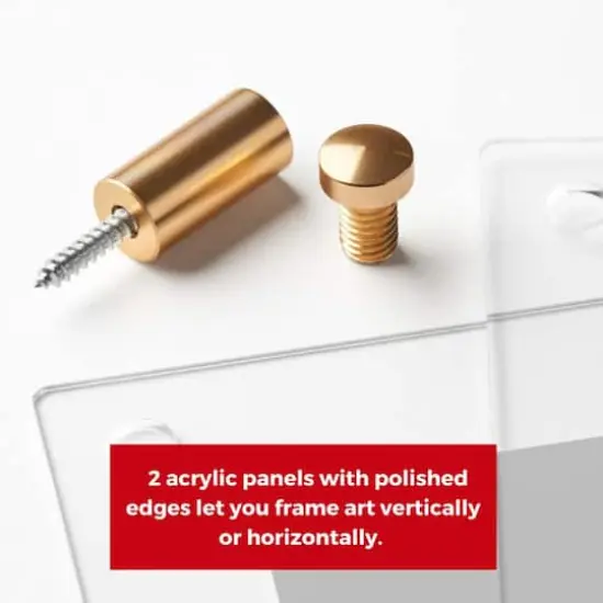 Cool Modern Frames Clear Acrylic Float Frame with Gold Hardware {5}