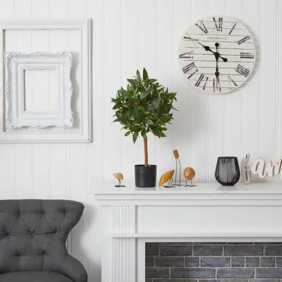 2ft. Potted Sweet Bay Mini Ball Topiary Tree {6}