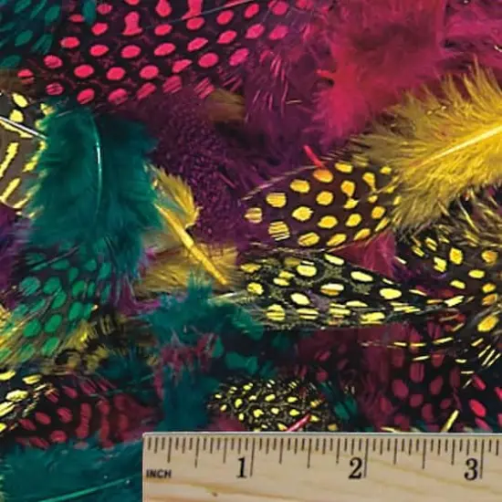 Color Splash!&reg; Dyed Feathers, 200ct. {1}