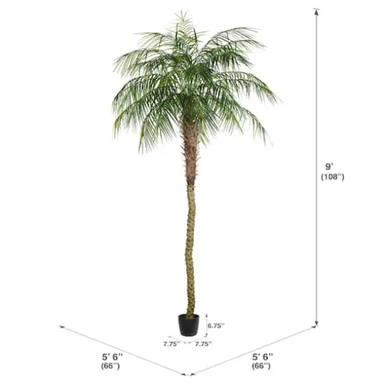 9ft. Potted Phoenix Palm Tree {5}