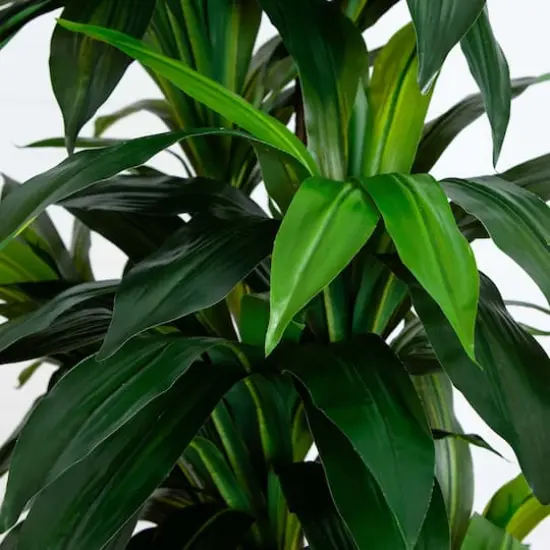 9ft. Potted Green Artificial Dracaena Tree with Real Touch Leaves {4}