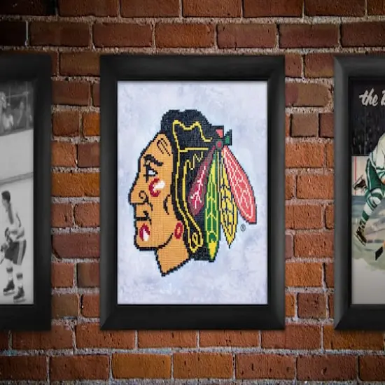 Camelot&reg; Dots NHL Chicago Blackhawks Diamond Painting Kit {4}