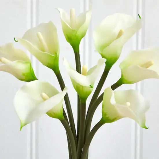 16" Classic Calla Lily Arrangement in Vase {5}