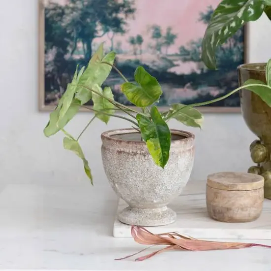 Hello Honey&reg; 8" Round Distressed Terra Cotta Footed Planter {4}