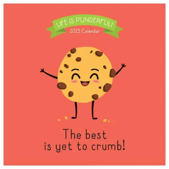 TF Publishing 2025 Puns of Fun Wall Calendar {1}