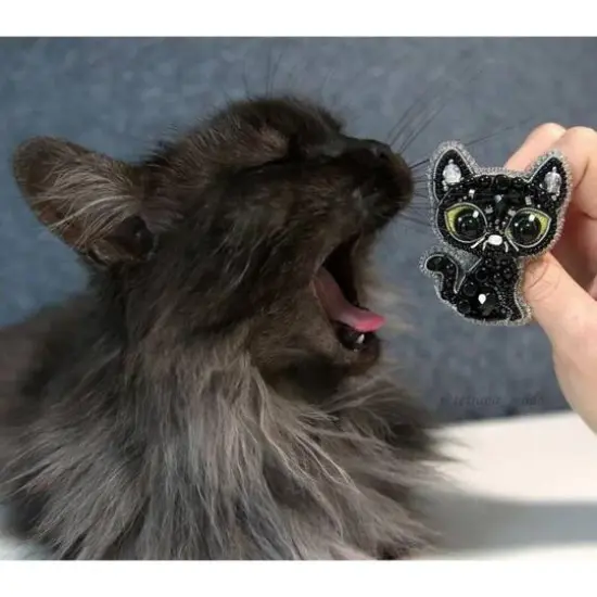 Crystal Art Beadwork Kit For Creating Broоch Black Cat {6}