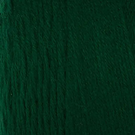 Red Heart&reg; Super Saver&reg; Yarn Hunter Green {3}