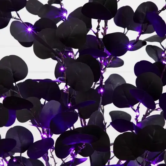 5ft. Pre-Lit Artificial Halloween Black Eucalyptus Tree with 220 Orange & Purple LED Lights {6}
