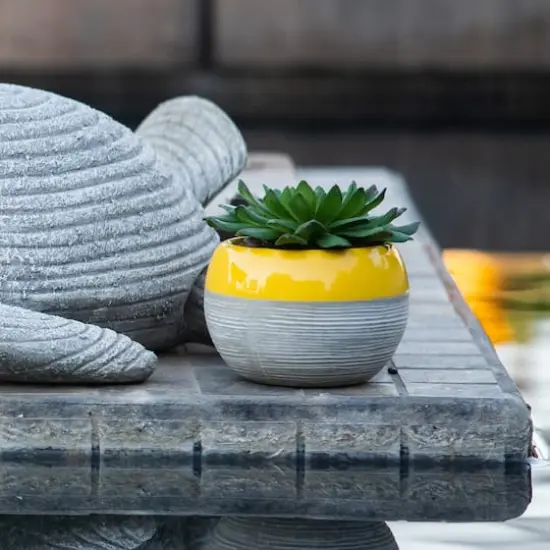 Flora Bunda&reg; Succulent In Two Tone Pattern Yellow Ceramic Pot {4}