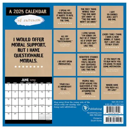 TF Publishing 2025 Anti-Affirmations & Sarcasm Mini Calendar {3}