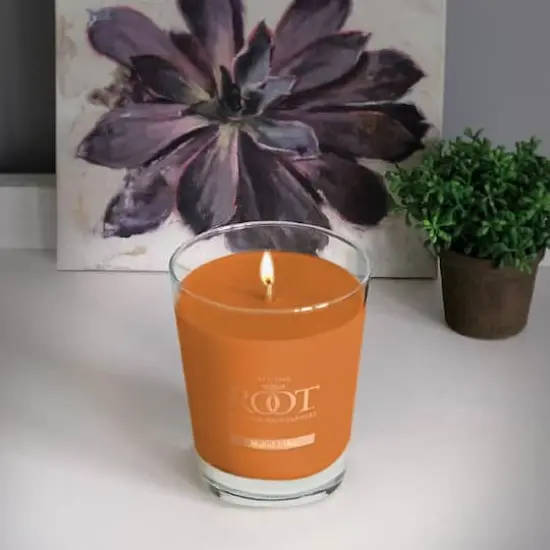 Root Candles 10.5oz. Large Scented Honeycomb Veriglass Jar Candle Mulled Cider {3}