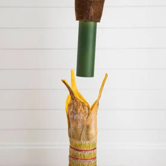 4ft. Potted Coconut Palm Tree {7}