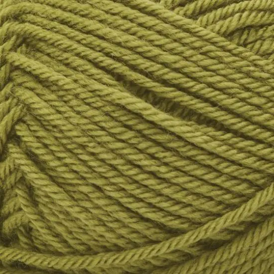 Patons Canadiana Solids Yarn Spring Green {4}