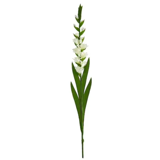 White Gladiolus Flower Stems, 3ct. {1}