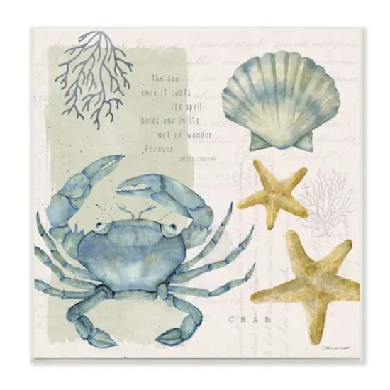 Stupell Industries Sea Casts Its Spell Quote Blue Crab Seashells,12" x 12" {1}