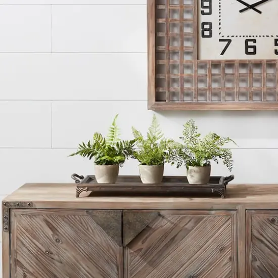 11" Potted Fern Plant Set {4}