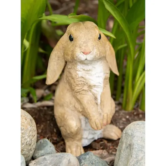 9.25" Curious Rabbit Garden Statue {3}